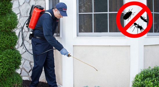 Alpu Gümüşkurt İlaçlama böcek ilaçlama ve haşere kontrolü — ilaclama-tr.com